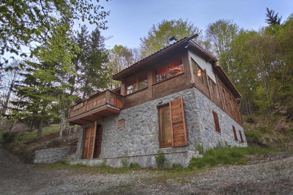 Guesthouse Sejn Kopaonik Exterior photo